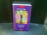 CE MICA-I LUMEA! - DAVID LODGE