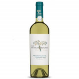 Vin alb - Metamorfosis, Sauvignon Blanc &amp; Feteasca alba, sec. 2019 | Viile Metamorfosis