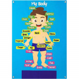 Plansa de activitati pentru copii, fetru, 70 x 57 cm, 32 piese tematice, invata partile corpului in, 12-28 luni, Bleumarin, Unisex