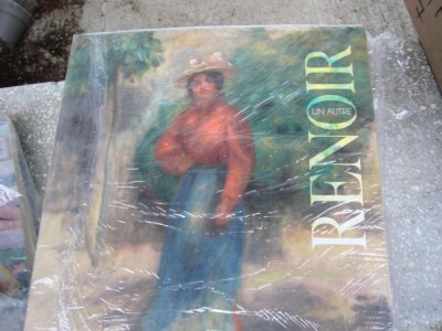 Renoir, album fr. foto