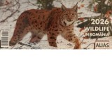 Calendar de birou. Wildlife 2026