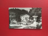 CARTE POSTALA - RPR - BORSEC - VEDERE DIN PARC, Circulata, Fotografie