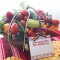 Vand rasad rosii / tomate, ardei, castraveti, vinete | rasaduri legume 2025
