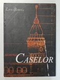 MEMORIA CASELOR de LIVIU BORCEA , 2003 *MICI DEFECTE