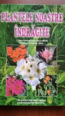 Plantele noastre indragite foto