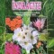 Plantele noastre indragite