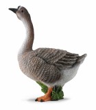 Gasca asiatica M - Animal figurina, Collecta