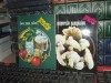 Lot 2 Cărți Colectia Practic: Ciuperci Șampion + Bere, Cvas, Cidru, Braga - Editura Gramar 1993-94 - Figuri &icirc;n Text