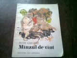 MINZUL DE VINT - PETRE GHELMEZ