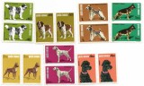 Romania (521) - Expozitia Nationala Canina,1981, serie neobliterata, blocuri de 2, Caini, Nestampilat