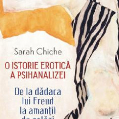 O istorie erotica a psihanalizei - Sarah Chiche