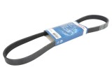 Curea transmisie cu caneluri FORD C-MAX (DM2) (2007 - 2016) BOSCH 1 987 948 486