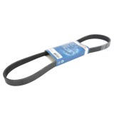 Curea transmisie cu caneluri CITROEN C4 II (B7) (2009 - 2016) BOSCH 1 987 948 486