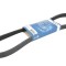 Curea transmisie cu caneluri CITROEN C3 I (FC) (2002 - 2016) BOSCH 1 987 948 486