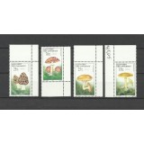 CIPRU TURC 1997 CIUPERCI