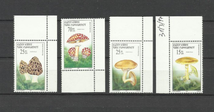 CIPRU TURC 1997 CIUPERCI