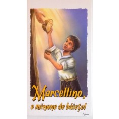 MARCELLINO , O MINUNE DE BAIETEL , 2014