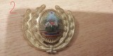 QW14 - Emblema militara / cuc - uscat - comunism - piesa de colectie