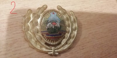 QW14 - Emblema militara / cuc - uscat - comunism - piesa de colectie foto