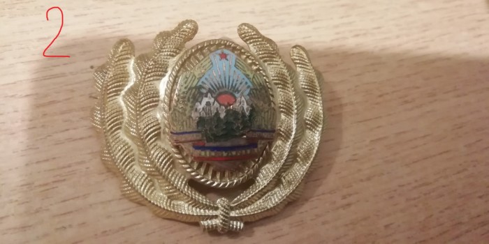 QW14 - Emblema militara / cuc - uscat - comunism - piesa de colectie
