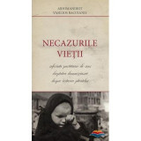 Necazurile vietii - Arhimandrit Vasilios Bacoianis