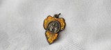 MEDALION MAICA TEREZA de LISIEUX 1900 manopera EXCEPTIONALA de colectie UNIC