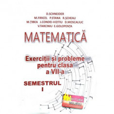 Matematica, exercitii si probleme pentru clasa a 7-a, semestrul 1 - Delia Schneider