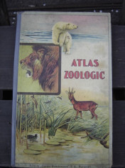 ATLAS ZOOLOGIC CUPRINZAND 243 GRAVURI IN CULORI,GRUPATE IN 27 PLANSE DUBLE SI UN TEXT EXPLICATIV foto