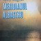 Meridianul albastru Viorel Salagean