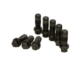 Set surub volanta Luk 411019610