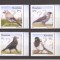 Romania 2017 - LP 2134, Pasari inteligente, MNH