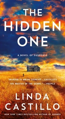 The Hidden One: A Novel of Suspense foto