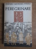 Fernao Mendes Pinto - Peregrinare