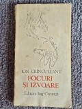 ION CRANGULEANU - FOCURI SI IZVOARE, 1978, 108 pagini, stare buna