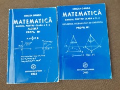 Mircea Ganga - Matematica. Manual pentru clasa a X-a. Algebra. GEOMETRIE 2003