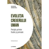 Descopera Neurostiinta. Evolutia Creierului Uman. Periplu Printre Fosile Si Primate - Litera
