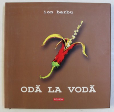 ODA LA VODA de ION BARBU , 2007 foto