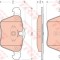 Set placute frana,frana disc VOLVO V60 (2010 - 2016) TRW GDB1684