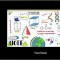 Tableta grafica 7 ViewSonic ID710-BWW &quot;ID710-BWW&quot; (timbru verde 0.18 lei)