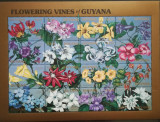 BC850, Guyana 1991, bloc flori