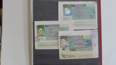 3 FOI DE PASAPORT CU VIZA SCHENGEN PT. 3 STATE ANII 1995,1998 SI 2O01. foto