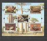 MADAGASCAR 2023 FAUNA MARINA TESTOASE