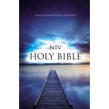NIV, Value Outreach Bible, Paperback