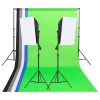 VidaXL Kit de iluminat pentru studio cu fundaluri și softbox-uri