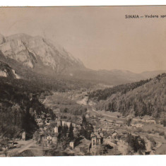 CPIB 21699 - CARTE POSTALA - SINAIA. VEDERE SPRE CARAIMAN, RPR