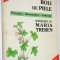 Boli de piele - prevenire, recunoastere, vindecare
