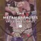 The Metamorphosis and Other Stories