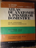 ATLAS DE ANATOMIE A PASARILOR DOMESTICE (IN LIMBILE: ROMANA, FRANCEZA, ENGLEZA, RUSA)-V. GHETIE, ST. CHITESCU, V