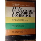 ATLAS DE ANATOMIE A PASARILOR DOMESTICE (IN LIMBILE: ROMANA, FRANCEZA, ENGLEZA, RUSA)-V. GHETIE, ST. CHITES-262587