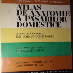 ATLAS DE ANATOMIE A PASARILOR DOMESTICE (IN LIMBILE: ROMANA, FRANCEZA, ENGLEZA, RUSA)-V. GHETIE, ST. CHITESCU, V